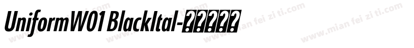 UniformW01 BlackItal字体转换
